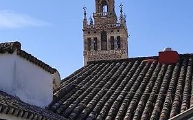 Conteros Sevilla Urban
